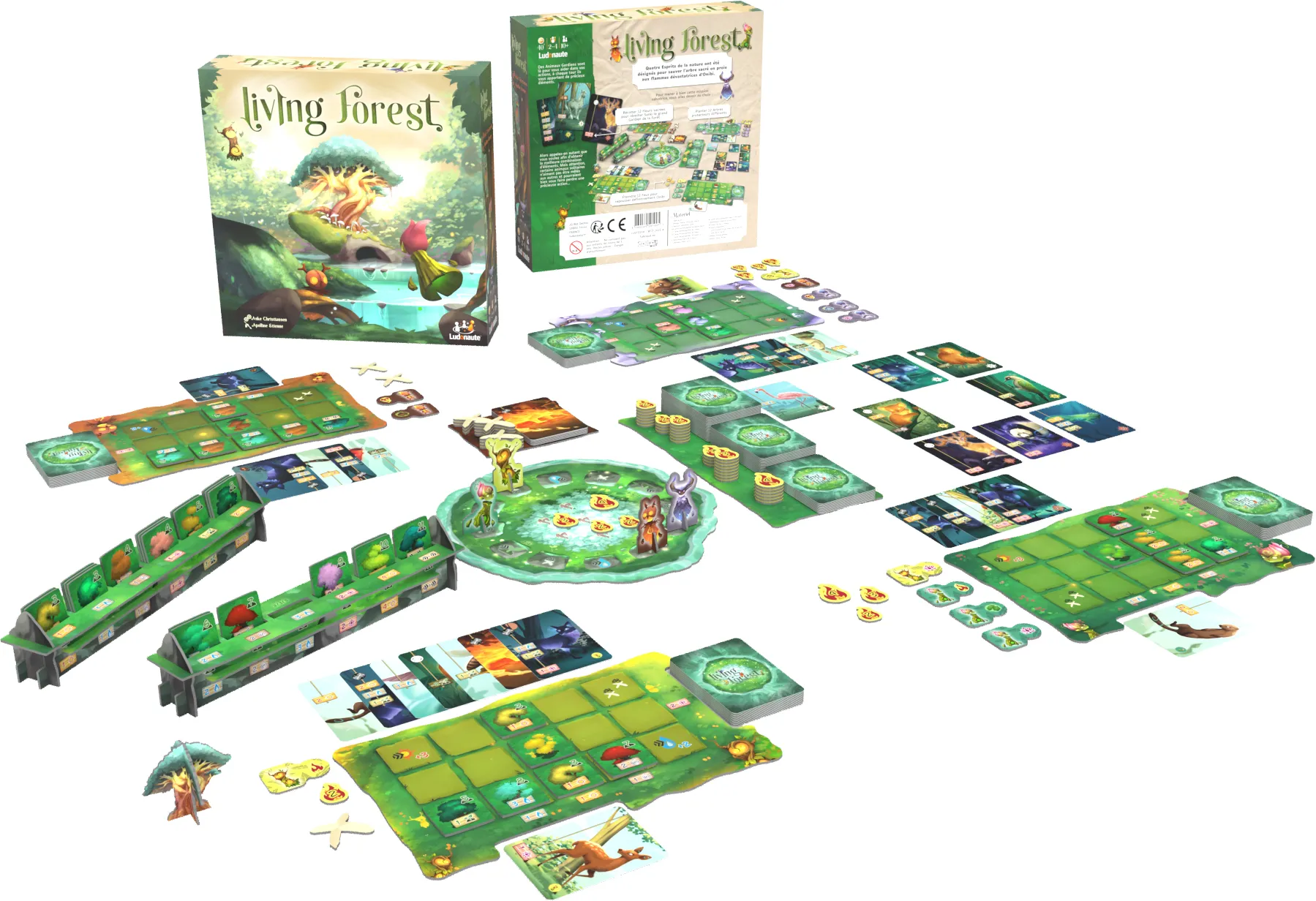 Living Forest - Image 4